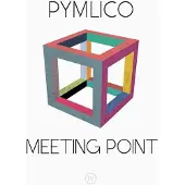 Ginza.se Pymlico - Meeting Point (LP)