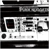 Warner Music Not Good For Your Health: Punk Nuggets 1972-1984