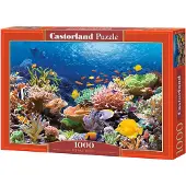 Castorland Coral Reef Fishes Puzzel (1000 stukjes)