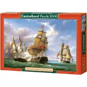 Castorland , kopie van "Combat", 21 april 1806, PJ Gi Puz, C-300037-2