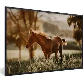 PosterMonkey Fotolijst incl. Poster - Paard - Licht - Weide - 60x40 cm - Posterlijst