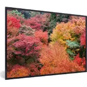 PosterMonkey Fotolijst incl. Poster - Bos met Japanse esdoorns in Kioto - 30x20 cm - Posterlijst
