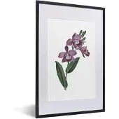 PosterMonkey Fotolijst incl. Poster - Bloemen - Orchidee - Paars - 40x60 cm - Posterlijst