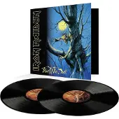 Warner Music Iron Maiden - Fear Of The Dark (2LP)