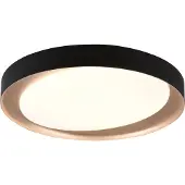 TRIO Zwarte plafonnière Zeta Ø 48cm