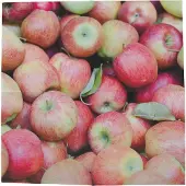 Esschert Design Servetten appels 33cm