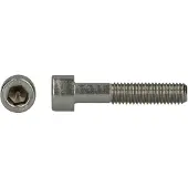 Bahco PGB-FASTENERS | BZK.schroef CK VD ISO4762 M5x25 A2 | 200 st 000912A70005000253