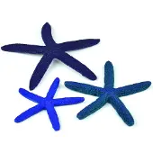 BiOrb Aquariumtoebehoren zeester set 3 blauw