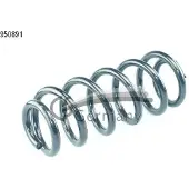CS Germany 14.950.891 Chassisveer