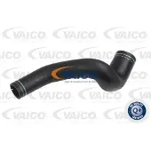 VAICO V24-0701 Laadluchtslang