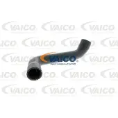 VAICO V30-0711 Radiateurslang