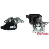 Brembo F 30 171 Remklauw