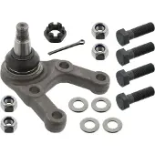 FEBI BILSTEIN 15071 Fuseekogel