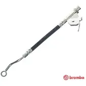 Brembo T 30 120 Remslang