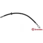 Brembo T 85 125 Remslang