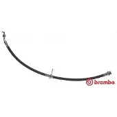 Brembo T 79 036 Remslang