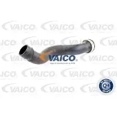 VAICO V10-4391 Laadluchtslang