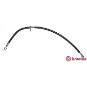 Brembo T 83 120 Remslang