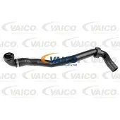 VAICO V10-1790 Radiateurslang