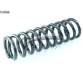 CS Germany 14.319.504 Chassisveer