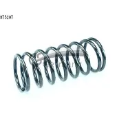 CS Germany 14.875.207 Chassisveer