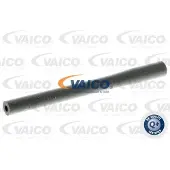 VAICO V10-4369 Laadluchtslang