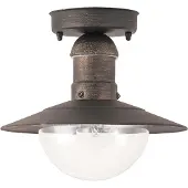Rabalux - Plafondlamp voor buiten / Diameter: 24 cm - Kleur: oud goud