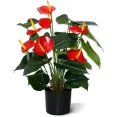 Maxifleur Kunstplanten Anthurium deluxe kunstplant 50cm - rood