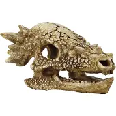 Superfish Aquarium Decoratie Schedel T-rex Beige 16,7 X 12,4 X 9 Cm