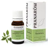 Pranarôm Essentiële Olie Ravintsara | 10 ml