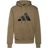 Adidas Hooded sweatshirt Sportswear Future Icons Logo Graphic