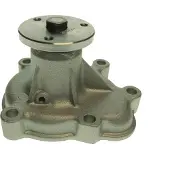 Saleri SIL PA1509 Waterpomp