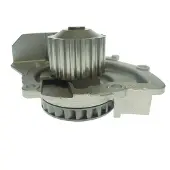 Saleri SIL PA1501 Waterpomp