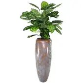 Maxifleur Kunstplanten Calathea Rosea Picta 80cm