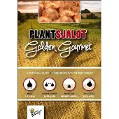 Buzzy Plantsjalotten Golden Gourmet 500g