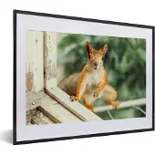 PosterMonkey Fotolijst incl. Poster - Eekhoorn - Raam - Bosdieren - 40x30 cm - Posterlijst