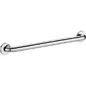 Delabie Handgreep aangepast sanitair 50506P2