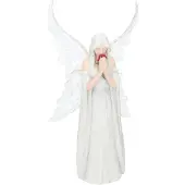 Nemesis Now Anne Stokes Alleen Liefde Blijft Figuur 26 Cm