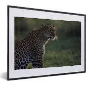 PosterMonkey Fotolijst incl. Poster - Panter uitkijkend over savanne - 40x30 cm - Posterlijst