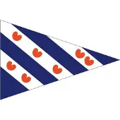 BREG Friese puntvlag