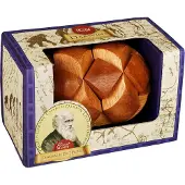 Professor puzzle Great Minds - Darwin's Egg of Evolution Puzzel