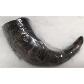 Topmast Runderhoorn Klein ca. 100 Gram