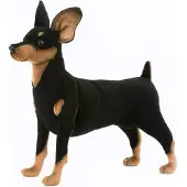 Hansa Pluche Pincher hond - 43 cm - knuffel hond - huisdieren knuffelhond - realistische knuffels