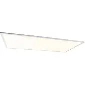 QAZQA LED paneel staal 120 cm incl. LED met afstandsbediening - Liv