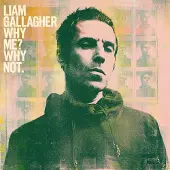 Warner Music Why Me? Why Not. (LP)