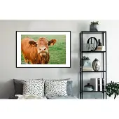 PosterMonkey Fotolijst incl. Poster - Koe - Bruin - Gras - 120x80 cm - Posterlijst