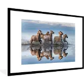 PosterMonkey Fotolijst incl. Poster - Paarden - Water - Wit - 90x60 cm - Posterlijst