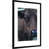PosterMonkey Fotolijst incl. Poster - Dieren - Koe - Oog - 80x120 cm - Posterlijst