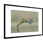 PosterMonkey Fotolijst incl. Poster - IJsvogel - Tak - Vleugels - 120x80 cm - Posterlijst