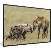 PosterMonkey Fotolijst incl. Poster - Hyena - Gras - Safari - 120x80 cm - Posterlijst
